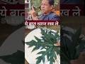 पपीते के पत्ते से बनाएं फेस मास्क Papaya Leaf Face Mask For Skin whitening  #skinwhiteningfacemask