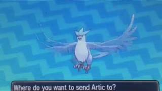 [LIVE!] Shiny Articuno Finally after 5,435 soft resets Pokemon Ultra Sun/Moon Shiny #61 screenshot 4