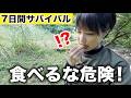 【山サバイバル②1日目夜】食べ物が無くて絶望の1日目夜。誤って激辛の実に手をつけたら…