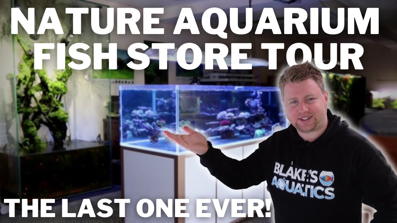 FISH STORE TOUR 