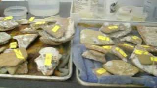 Mel Fisher's Treasures Artifact...