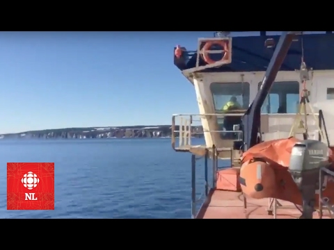Turbo trip to Bell Island