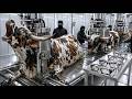 Inside the Luxury Horn Eyeglasses Industry | Grey Brahman Bull Horn Factory Secrets