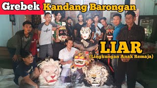 Grebek kandang barongan liar