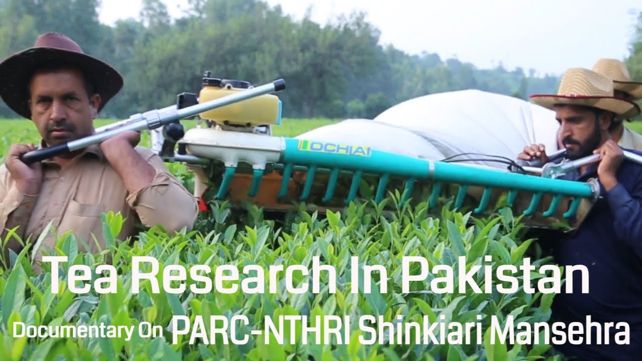 Tea Research In Pakistan- Documentary on PARC,NTHRI Shinkiari Mansehra