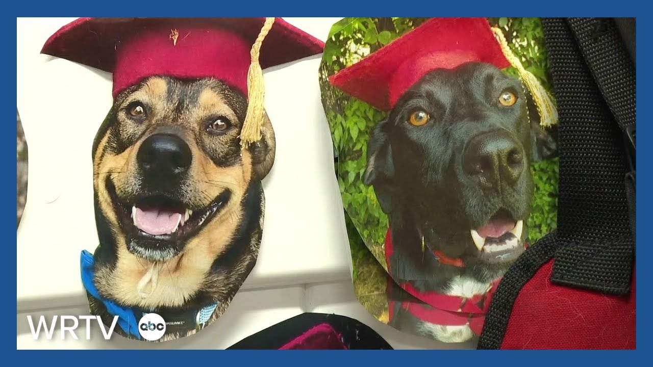 Indy-based nonprofit helping to transform the lives of rescue dogs and people with disabilities