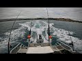 Fishing in kaikoura  first trumpeter and rays bream