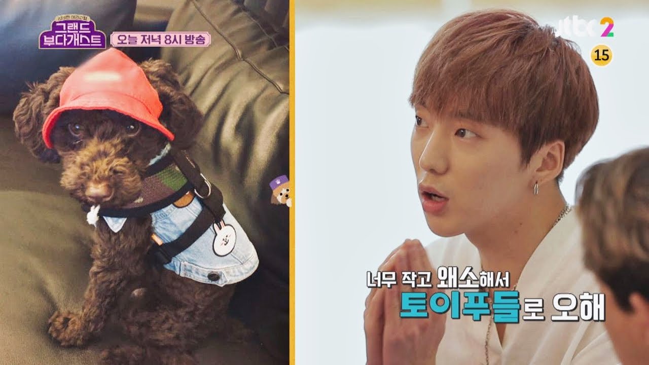 [선공개] 강승윤이 토이푸들로 오해했던 강아지 토르 (너무해..♨) 그랜드 부다개스트(grandbudaguest) 6회
