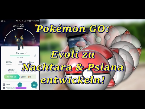 Pokemon Go Nachtara Psiana Gezielt Entwickeln Youtube