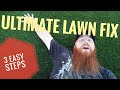 Ultimate lawn fix - 3 easy steps  dethatcher, scarify and fertilize