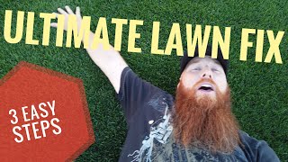 Ultimate lawn fix  3 easy steps  dethatcher, scarify and fertilize
