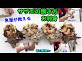 【魚屋が教える】サザエの捌き方&お刺身の造り方