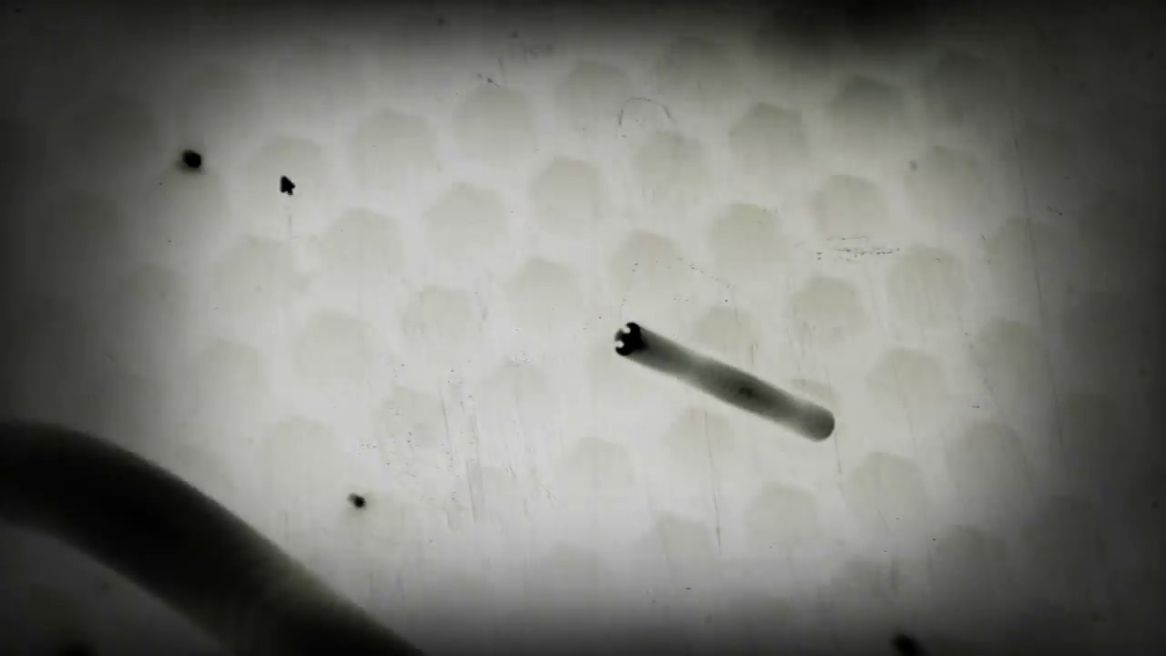 Slither.Io Time Lapse #4 Mouldy Worm