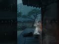 Slow the Mind in a Rainy Hanok | Night Calm for Sleep #shorts