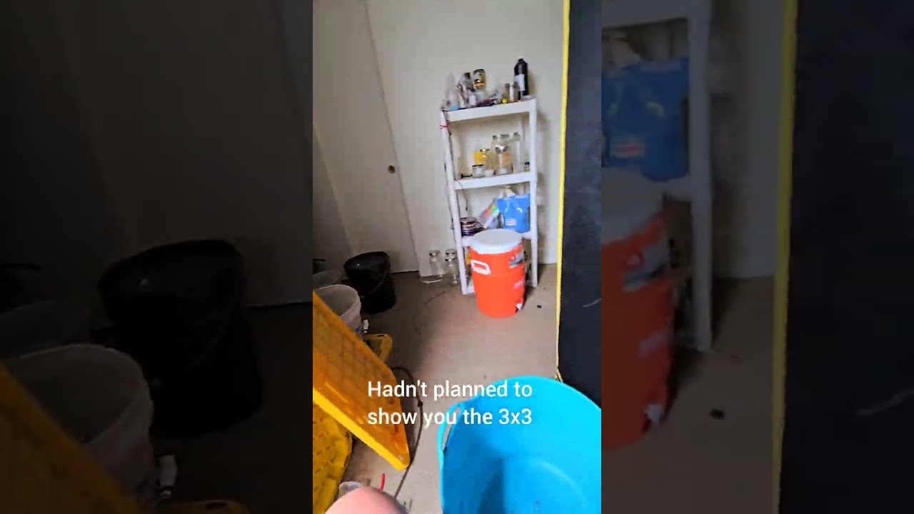 Update on my cannabis grow! 10/02/2024