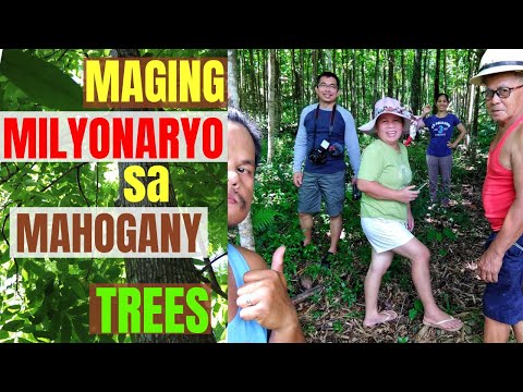 Video: Malayang Kalooban. Pagpupumilit. At Kung Paano Maging Isang Milyonaryo