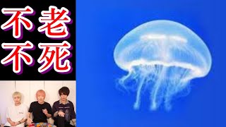 まだ知られていない寿命の長い動物達【都市伝説】