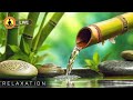 🔴 Relaxing Music 24/7, Healing Music, Meditation Music, Spa Music, Sleep, Zen, Study Music, Yoga