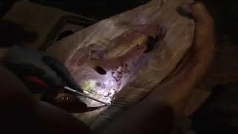 Cherokee-Crowes Carvings