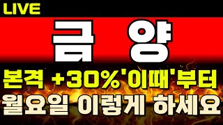 [금양 주가전망] 미노출- *양봉* 저점에서 계속 터지는 거래량! 악재 속에서도 세력의 상승 플랜 가동 중! 기업+세력+외국인이 급등시킬 수 밖에 없는 이유 !완벽분석