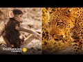Animal Behavior and Environmental Changes