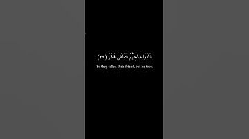 كرومات سوداء _ عمرو علي الترباني _ سورة القمر #تلاوات #تلاوة_خاشعة #قران_كريم