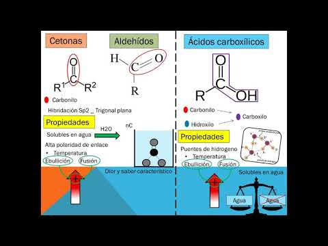 Video: ¿Cuál es la diferencia entre un aldehído, una cetona y un ácido carboxílico?