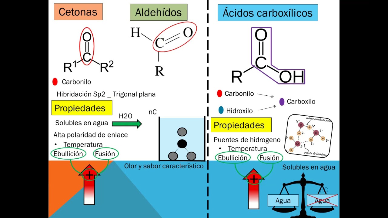 Tiras para medir cetonas cetosis cetonas cetonas