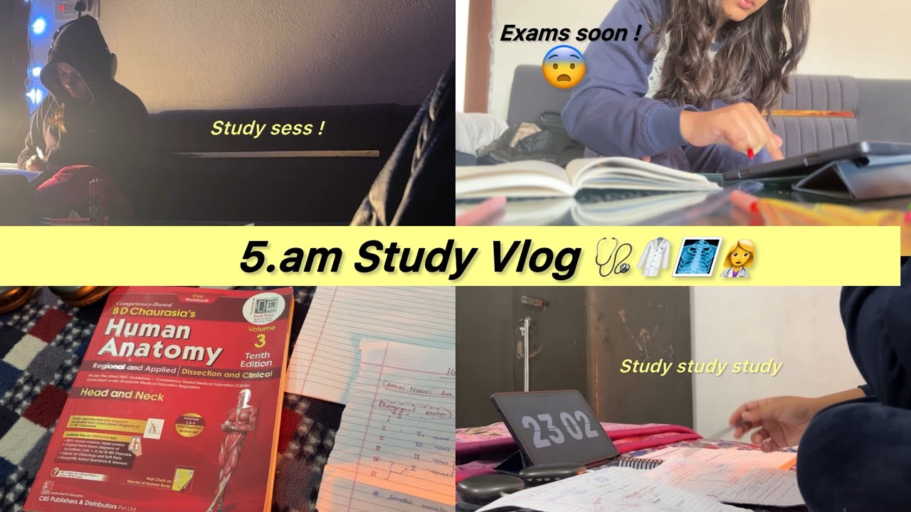 5.am Study Vlog ! Getting life back on the track after so long !