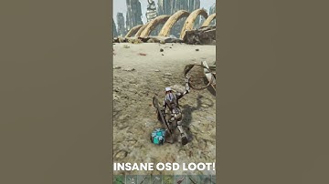 The Most Insane OSD Loot I