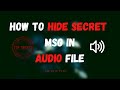 Secret Message in Audio Files: Easy Steganography Tutorial 🎧