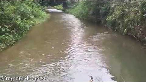 Câu cá suối mùa đông | fishing stream