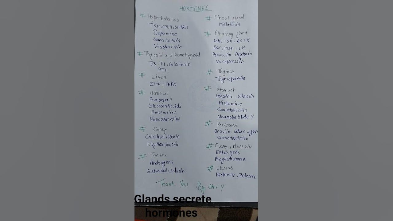 Hormones and glands important medical term medical YouTube