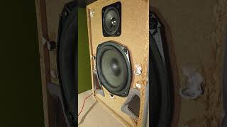 Sony speaker basstest! #bass #basstest #fyp #sony #excursion #subwoofer