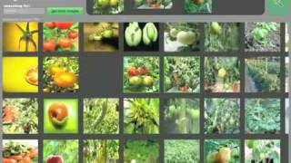 Pixolution demo