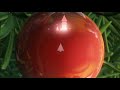 Ballyweg Disney Christmas Intro HD 