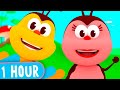 1 HOUR! Funny Songs of Little Bugs! - Kids Songs & Nursery Rhymes