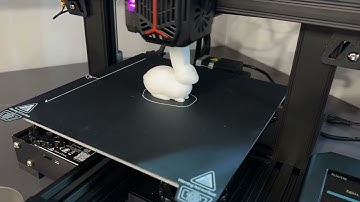 Ender 3 V2 Neo 3D Printing Rabbit Time-Lapse
