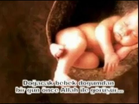 Doğumdan bir önce bebeğin Allah ile görüşmesi