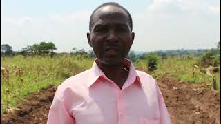 Bombo-Kalule Estate Client Testimony