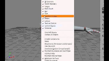 Digitaltutors Softimage-Tutorials Chapter 1 Video 5