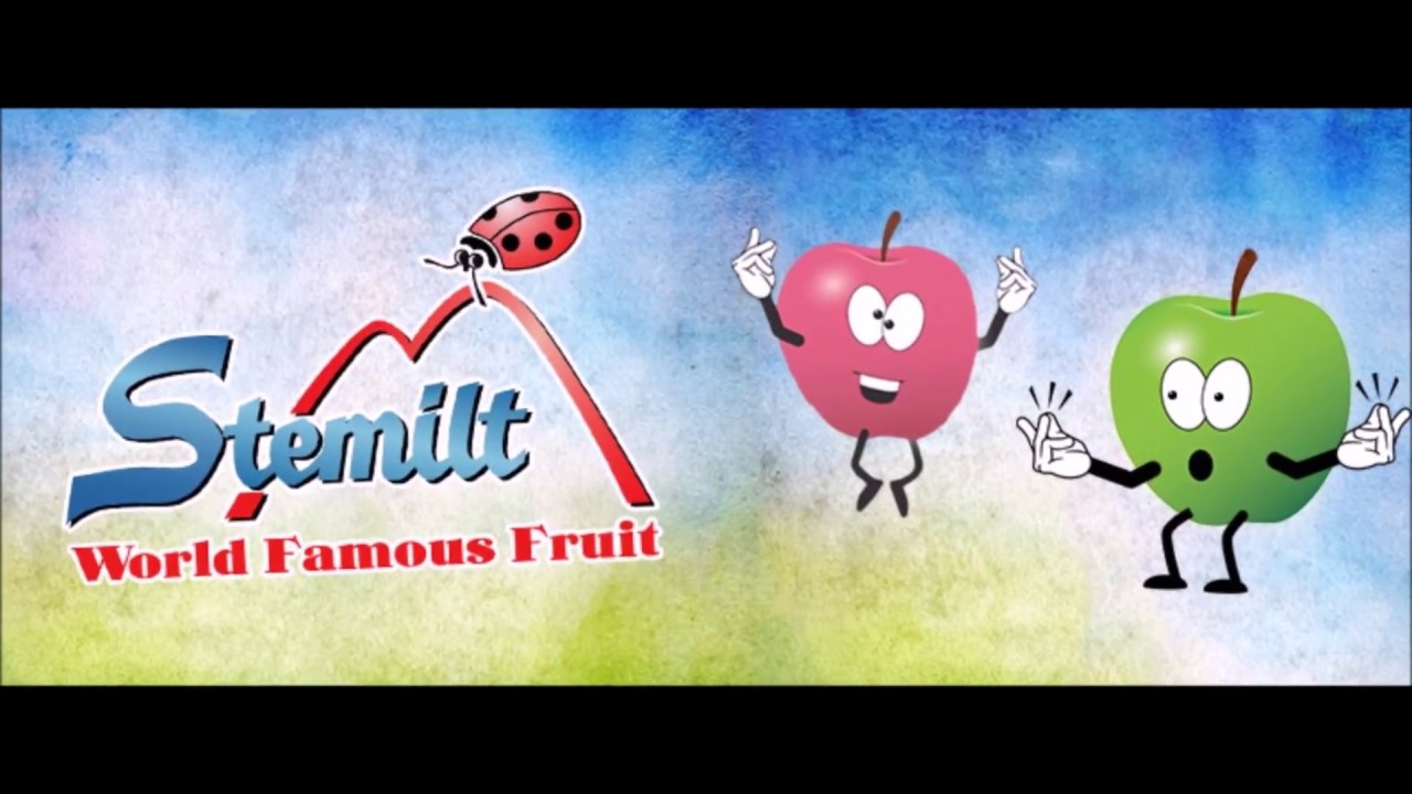 GREEFA Mele / Äpfel /Apples Grading & Packing Stemilt USA