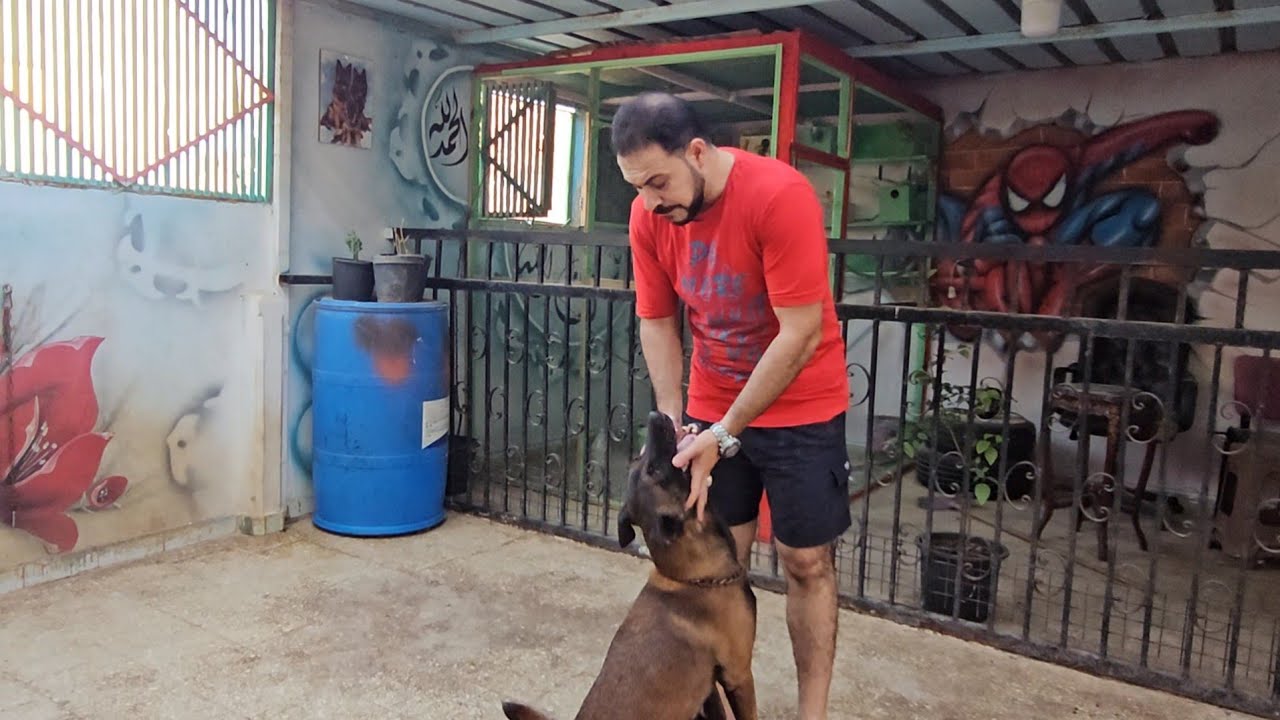 الكلب بيعرج .....الحقوااا