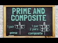 Understanding Prime and Composite Numbers