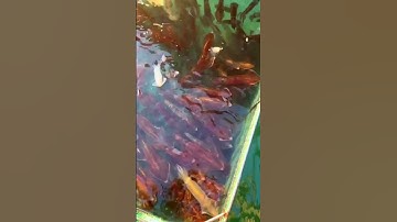 Biển Đảo Phú Quốc. Câu Cá Giải Trí