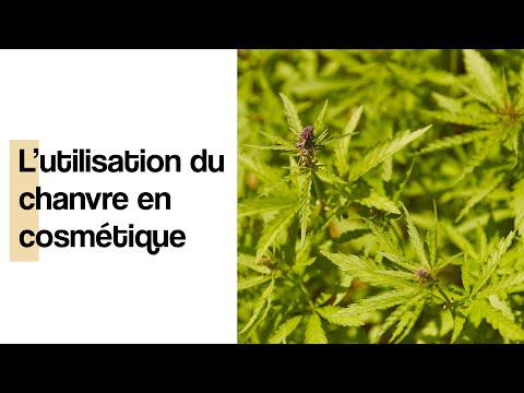 Vidéo: Avantages De La Peau Au Cannabis CBD