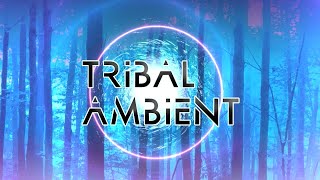 Tribal Ambient - Enchanted Forest Musical Journey - Shamanic Ambient - 432 Hz Journey - Relaxing