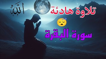 تلاوة هادئة (سورة البقرة) للنوم والراحة النفسية والسكينة