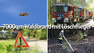 +++ Waldbrand bei starken Wind in Spree Neiße +++ Einsatzfahrten 16.05.2024