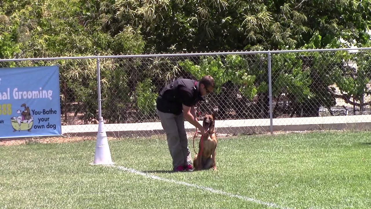 French Ring 1 Jolie De Loucyn